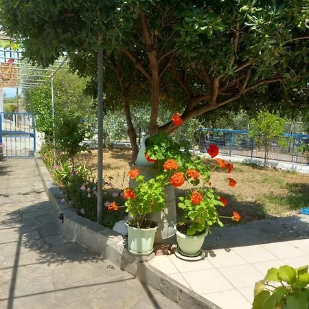 Ligeia House